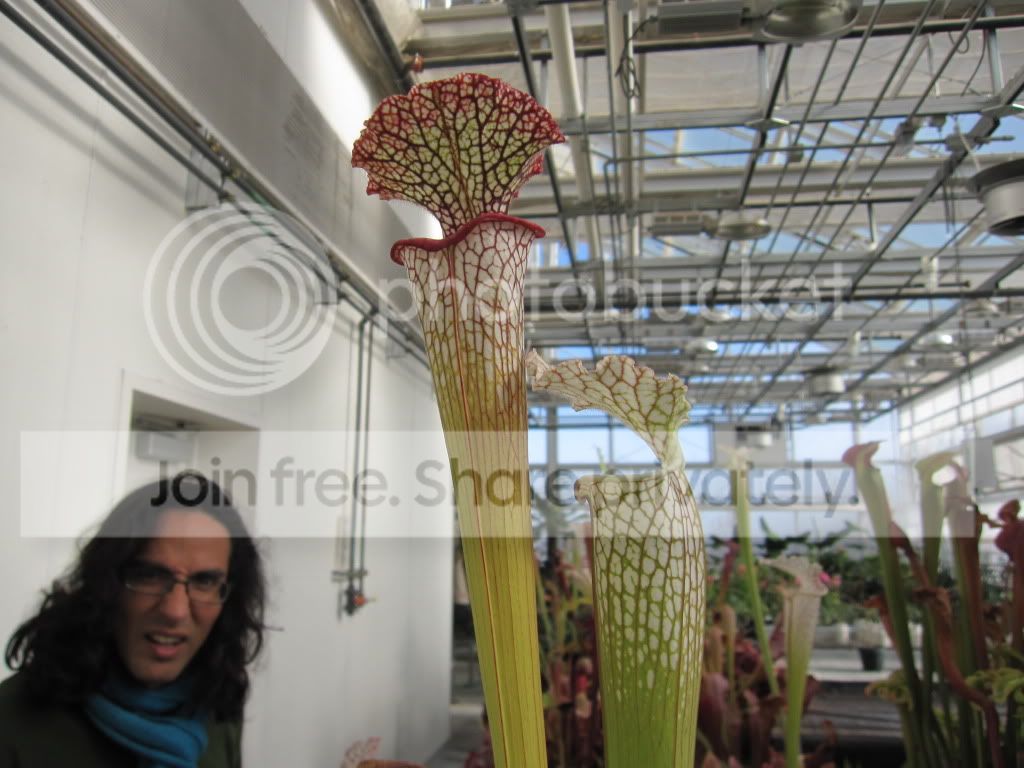 Ernesto, curator of UCD Botanical Conservatory, December 2012.