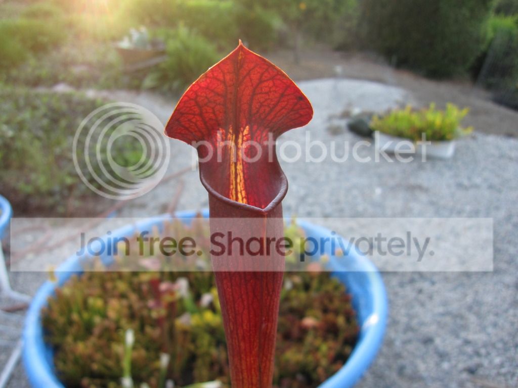 'Night', 2012-08-30