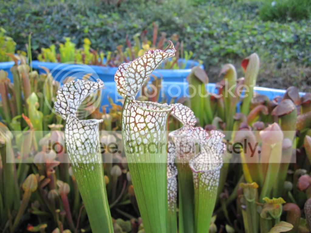 Sept 2012