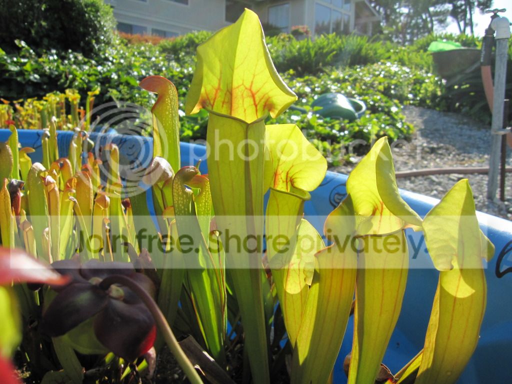 2012-05-24