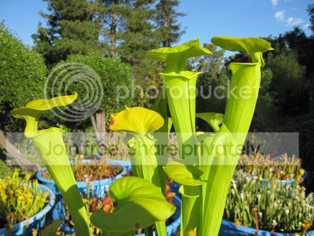 2012-07-23